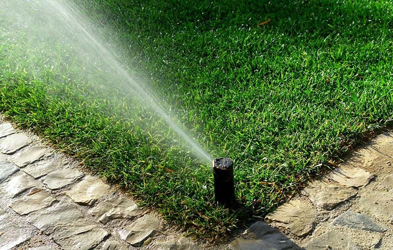 15048018 - garden irrigation system watering lawn